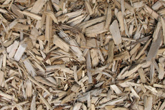 biomass boilers Ichrachan